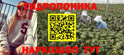 spice Краснокаменск