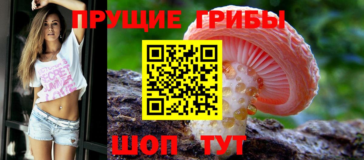 Волгодонск  Галлюциногенные грибы мицелий  Вход с VPN 